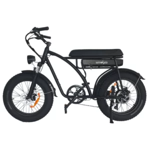 elektrische fatbike windgoo f5