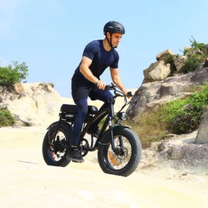 fatbike windgoo f5